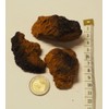 Chaga Chunks from Finnish Wild Collection 200 g