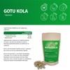 Gotu Kola Extract Capsules - High Dose - 600 mg
