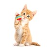 Rumyve 12 Pcs Rainbow Cat Toy Balls - Interactive Indoor