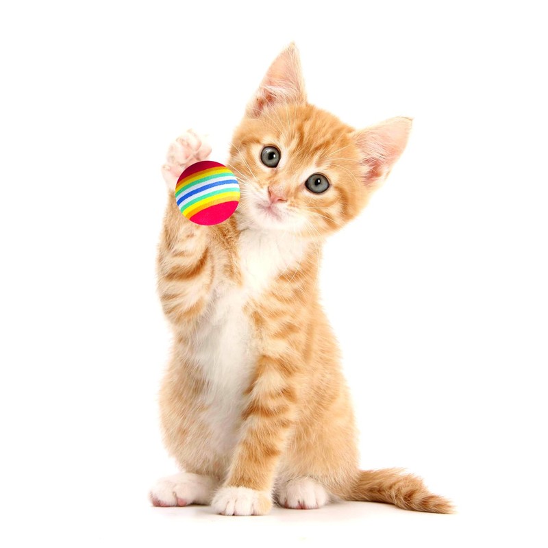 Rumyve 12 Pcs Rainbow Cat Toy Balls - Interactive Indoor