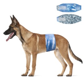 Dono Dog Nappies Male, 24pcs, Disposable Dog incontinence Wraps,Super Absorbent Leak-proof Widened Dog Belly Bands, Incontinence Issues,Excitable Urinary,XS,S,M,L