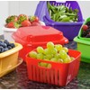 Hutzler 374RD Berry Keeper Box, 1 Quart, Red