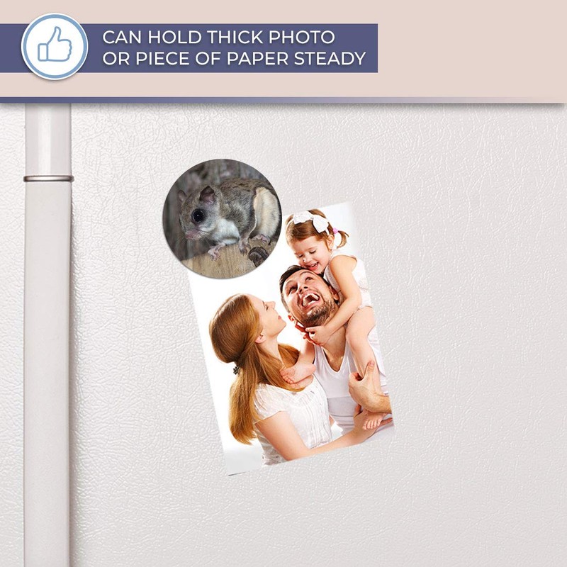 Destination Vinyl ltd Magnet for Refrigerator, Fridge - Cute Flying