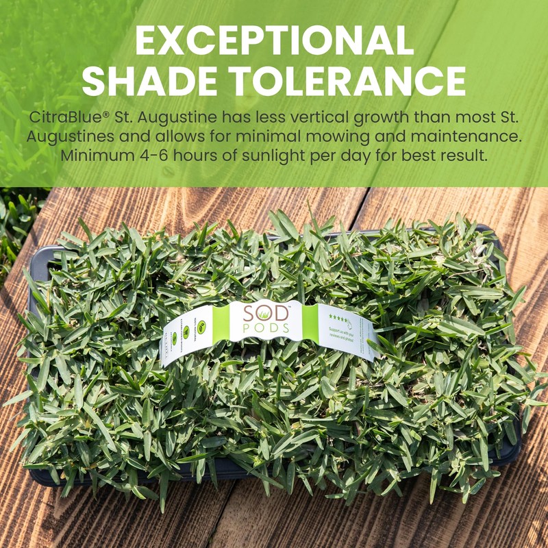SodPods® St. Augustine Sun/Shade Pack, Floratam & CitraBlue Grass Plugs
