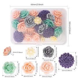 24Pcs Decorative Push Pins for Bulletin Board,Thumb Tack Decorative for Cork Board, Office Organization or Home