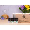 Nature's Aid Essential Oil Set