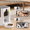 Smart Automatic Cat Feeder with 1080P Camera & Laser Toy,