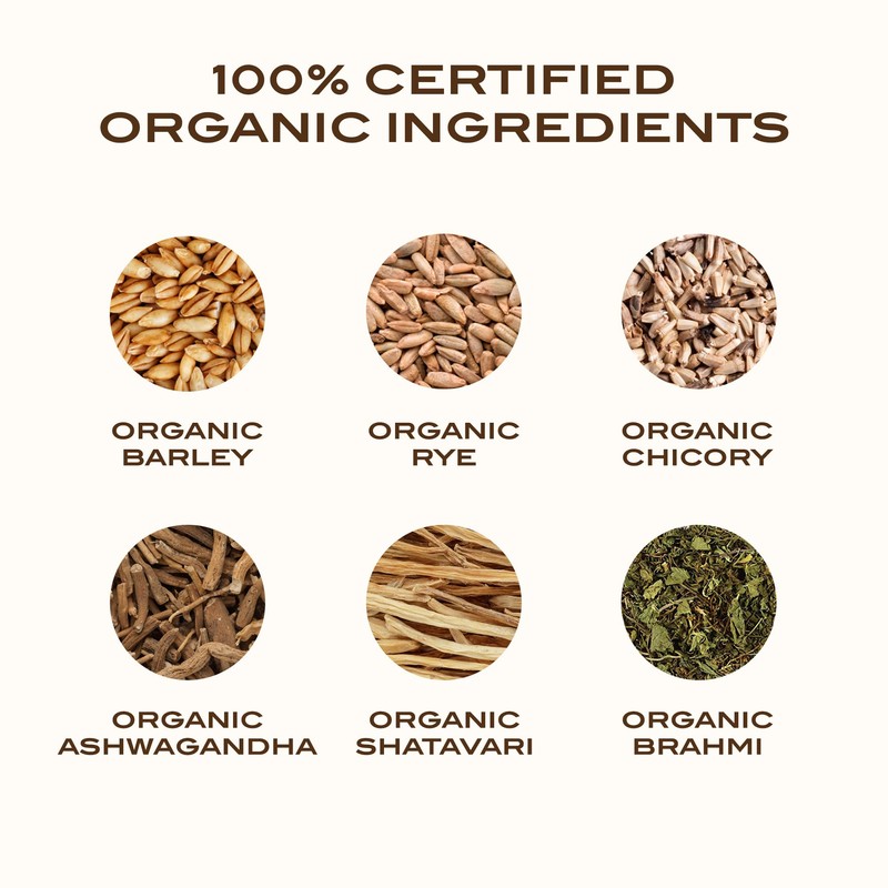 Ayurvedic Roast - Top Caffeine Free Certified Organic Coffee Substitute