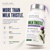Milk Thistle Capsules 12,500mg Equivalent | Standardised to 80% Silymarin