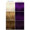Arctic Fox Purple Rain Tinte Semi Permanente Para el Cabello