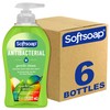 Softsoap Softsoap Antibacterial Liquid Hand Soap, Gentle Clean, Sparkling Pear