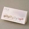 classic nail Revzel Flat Velvet Magnet Gel + 30 parts