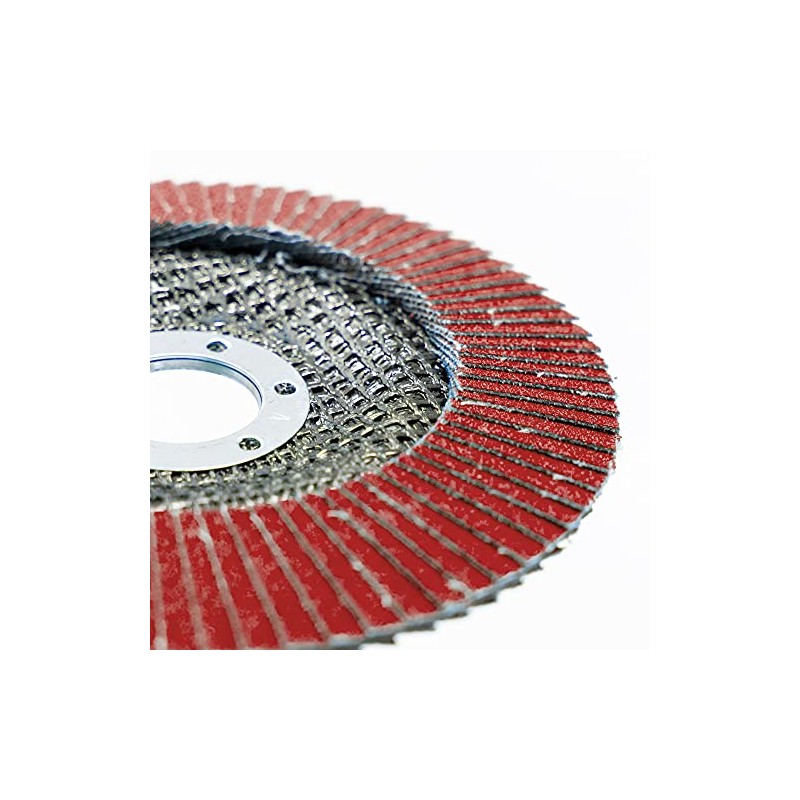 SBS Serrated Lock Washers / Abrasive Mop Discs for Wood