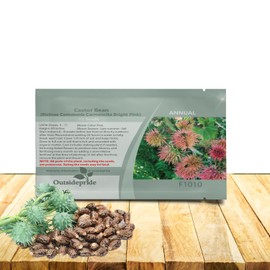 Outsidepride Bright Pink Castor Bean Seeds - 30 Pcs Annual Quick-Growing Tropical Flower Seeds for Planting Vibrant Foliage & Colorful Blooms for Eye-Catching Borders, Gardens & Landscapes