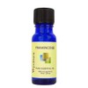 Frankincense Essential Oil - 100% Pure Essential Oil for Skin