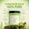 Commons Adaptógenos Amla Extracto Puro Polvo 100 Suplemento Natural Tónico