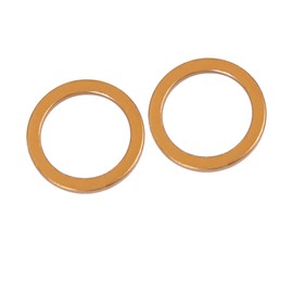 A ABSOPRO Set of 2 Motorcycle Exhaust Silencer Pipe Seal for Jiangling JH70