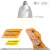 ReptiKing UVB Reptile Light, 10.0 24W, UVA UVB Reptile Light
