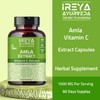 Ireya Ayurveda Ireya Ayurveda Jamun Seed Capsules and Amla Extract