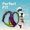 Comfort X Harness Dual Snap Mesh, Violet, X-Large
