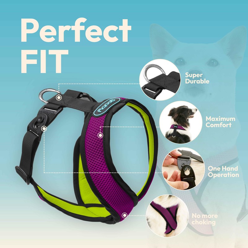 Comfort X Harness Dual Snap Mesh, Violet, X-Large