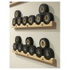 Hockey Puck Display Case Holder/Rack (6)