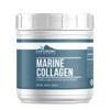 Earthborn Elements Hydrolyzed Marine Collagen Peptides Powder 1.25 lb, Pure