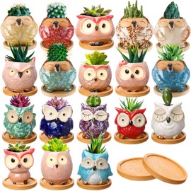 Cindeer 18 Pcs 2.5 Inch Owl Ceramic Succulent Planter Pots Mini Small Ceramic Pots with Drainage Hole and Bamboo Tray for Succulents Glaze Cactus for Home Garden Office Desk Decoration Gift Ideas