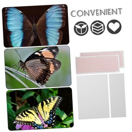 VILLFUL Specimen Pinning Board Butterfly Spreading Tool for Entomology Convenient for Transport Storage Versatile Display with Spacing for DIY Specimen Exhibits