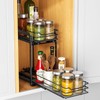 RCHYFEED Spice Organization for Cabinet, 2 Tier Pull Out Spice