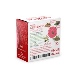 BAMBOEARTH Solid Shampoo Bar And Conditioner Effect Hair Soap – 100% Organic Shampoo Bars For Hair With All Natural Plant Based Essential Oils And Zero Waste Biodegradable Packaging (Cinnamon)