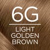 L'Oreal Paris Excellence Creme Permanent Triple Care Hair Color, 6G