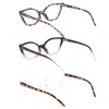 DXYXYO Cat Eye Reading Glasses for Women 3 Pack Anti