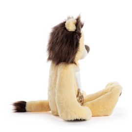 DEMDACO 16 Inch Soft Polyester Cuddly Huggable Friend Stuffed Animal Plush Lion, Yellow and Brown, Proud of You