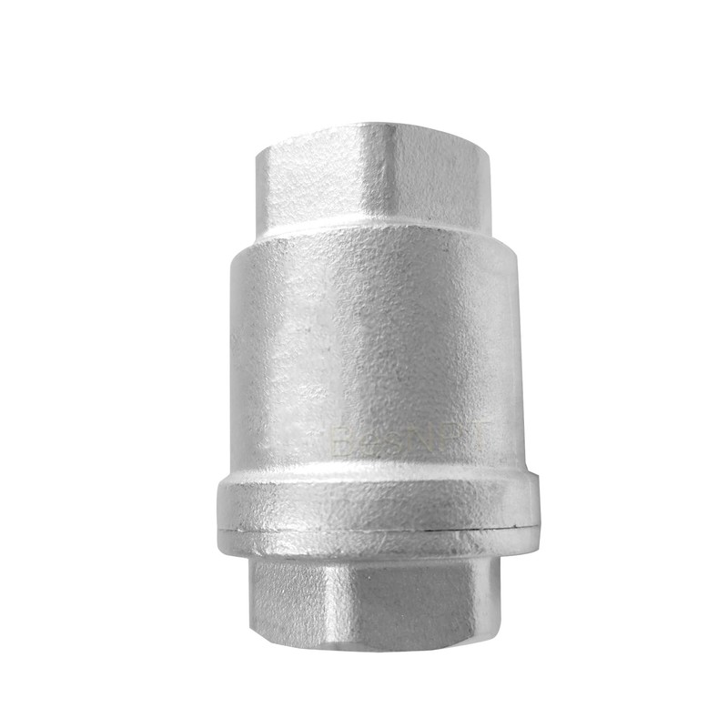 BesNPT 1" NPT Stainless Steel Spring Check Valve,One Way Horizontal
