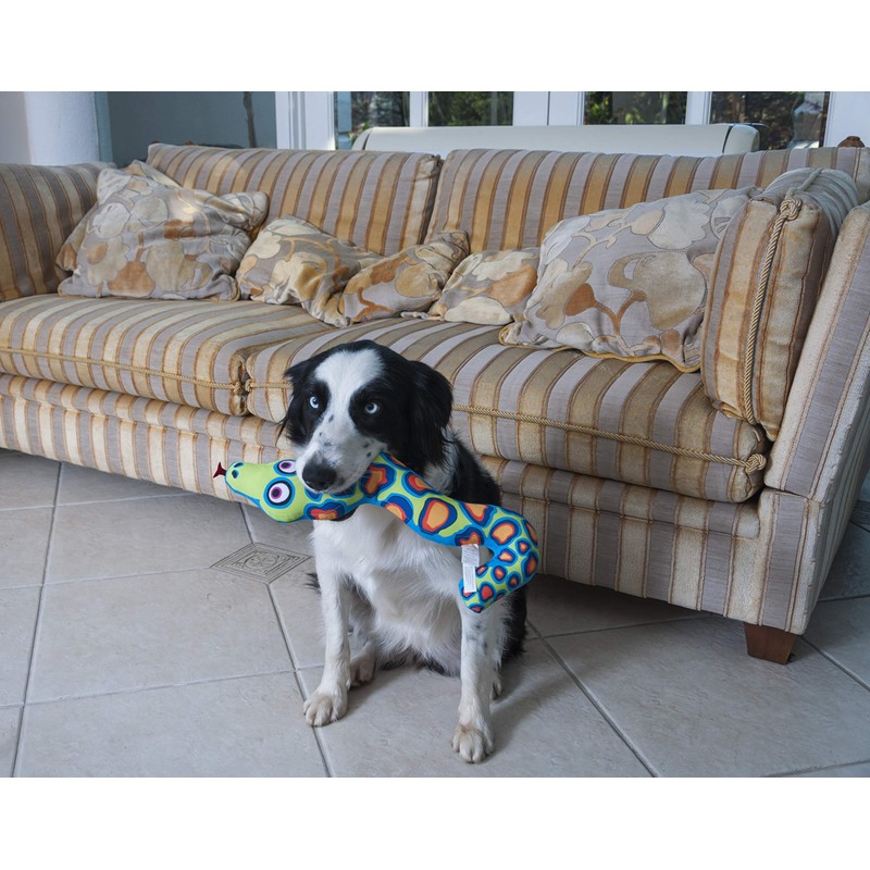 Petmate Fat Cat Incredible Strapping Yankers Dog Toy, Snake (Colors