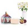 Seda France - Japanese Quince 3 Wick Candle