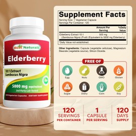 Best Naturals Elderberry Sambucus Nigra Extract 10:1 500 mg 120 Veg Capsules