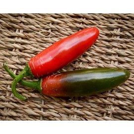 Sport Pepper Premium Seeds for Planting Packet Record Hottest in The World + More
