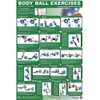 Productive Fitness Upper and Lower Body Ball Exercise Poster