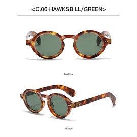 Feisedy Sunglasses Polarized Sunglasses UV400 Protection Men Women Drive Retro Fashion B1214, tortoise green
