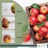 Wheat Straw Apple Corer