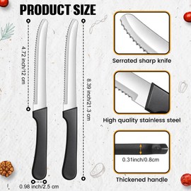 Zhehao 30 Pack Serrated Steak Knives Stainless Steel Steak Knife Rounded Blade Steak Knives 8.39 Inches Kitchen Plastic Handle Steak Knives Bulk for Home Restaurant