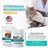 AminAvast Small Dogs & Cat Kidney Support - Promotes Healthy