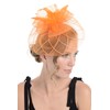 Zac's Alter Ego Lace & Net Fascinator with Feathers on