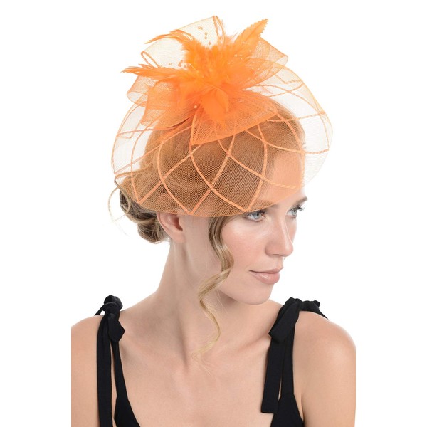 Zac's Alter Ego Lace & Net Fascinator with Feathers on