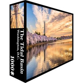 The Tidal Basin - 1000 Piece Jigsaw Puzzle by Pigment & Hue, Inc.