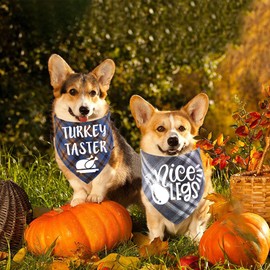 STMK 2 Pack Thanksgiving Day Dog Bandanas, Dog Holiday Fall Thanksgiving Bandanas Scarf for Small Medium Large Dogs (Small)