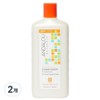 Andalou Naturals Argan Oil Shea Butter Conditioner, 2 packs, 340ml / 안달로우내추럴스 아르간 오일 시어버터 컨디셔너, 2개, 340ml