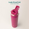 Reduce Aura Vacuum Insulated 26 oz Water Bottle - Leak-Proof